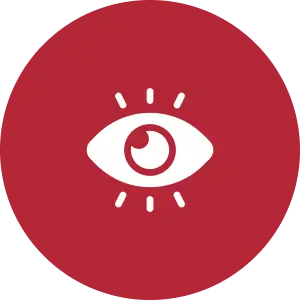 Our Vision Icon